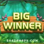 Big Winner 777